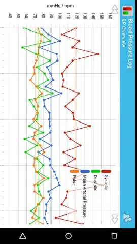 BP Log скриншот 2