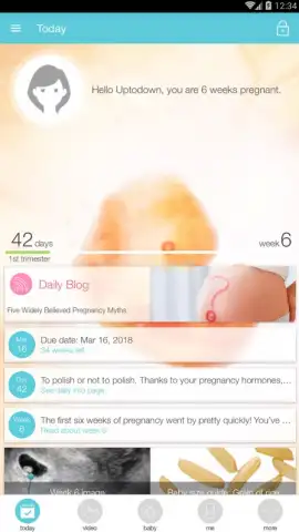 Pregnancy + скриншот 17