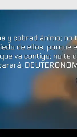 Promesas скриншот 4