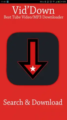 VidDown: Best Tube Video/MP3 Downloader скриншот 1