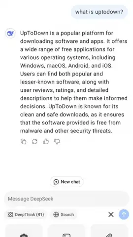 DeepSeek скриншот 8