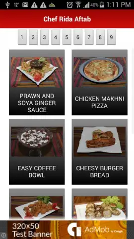 Chef Rida Pakistani Recipes скриншот 2