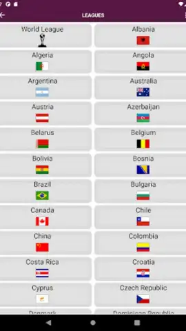 World Football Simulator скриншот 4