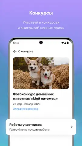 WB Team скриншот 1
