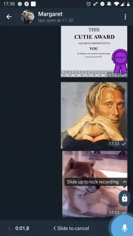 ForkGram скриншот 1