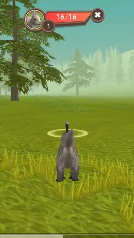 WildCraft скриншот 1