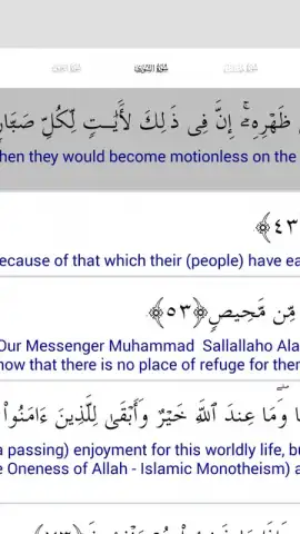 Al Quran Islamic Apps скриншот 8