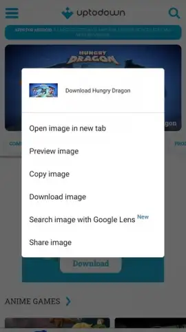 Google Chrome скриншот 10