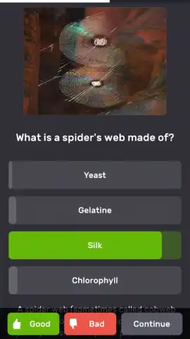QuizzLand скриншот 2