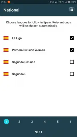 Forza Football скриншот 1