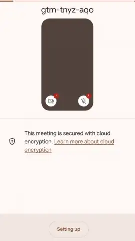 Google Meet скриншот 16