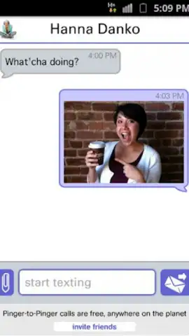 Pinger Messenger скриншот 2