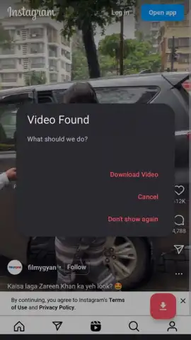 VidMad Video Downloader скриншот 2
