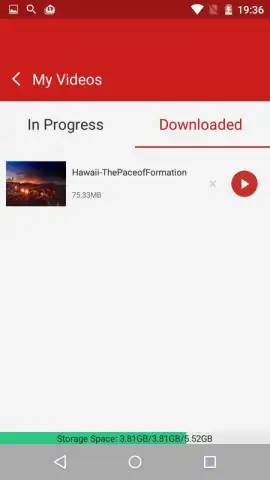 Paris Video Downloader скриншот 4