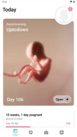Pregnancy + скриншот 1