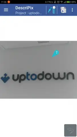 Describe with pictures скриншот 8