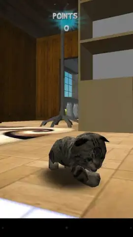 Cat Simulator скриншот 4