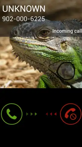 Fake Call 2 скриншот 5