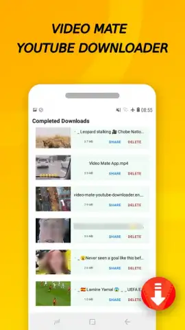 Vidora YouTube Downloader | free & fast скриншот 12