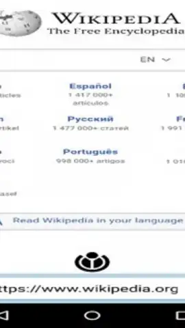 4K Browser скриншот 3