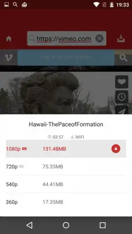 Paris Video Downloader скриншот 6