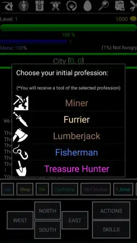 Random Adventure Roguelike скриншот 1