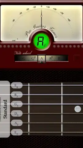 Pro Guitar Tuner скриншот 5