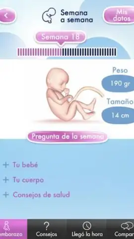 Mi Embarazo скриншот 4
