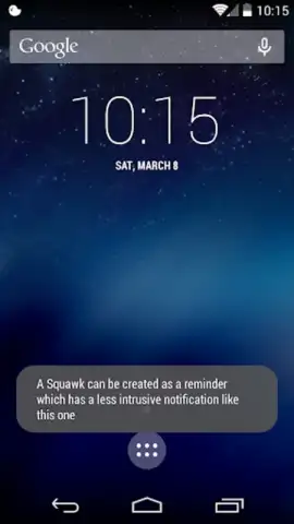 Squawk скриншот 2