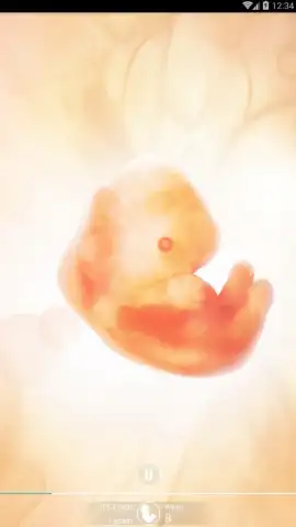 Pregnancy + скриншот 8