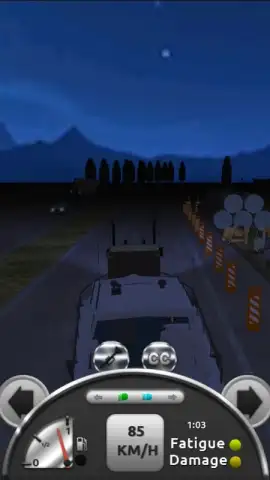 Truck Simulator 3D скриншот 9