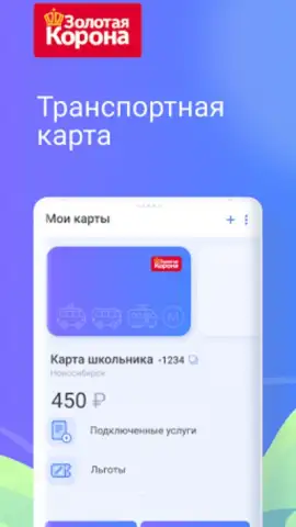 Транспортная карта скриншот 7