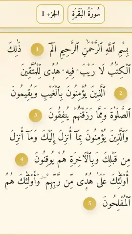 Noor Islam скриншот 5
