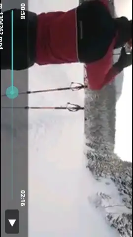 Fastest Video Downloader скриншот 2