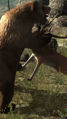 Real Bear Simulator скриншот 3