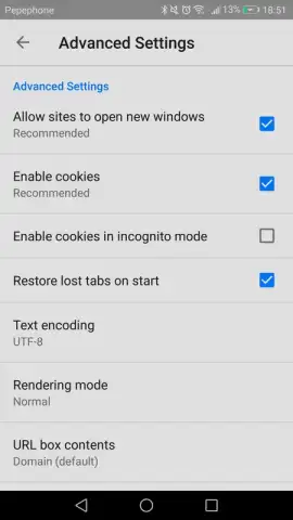 CN Browser скриншот 3