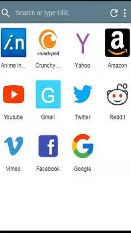 Punch Browser скриншот 1