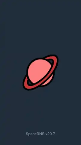 SpaceDNS скриншот 1