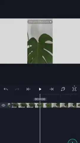 Alight Motion скриншот 7