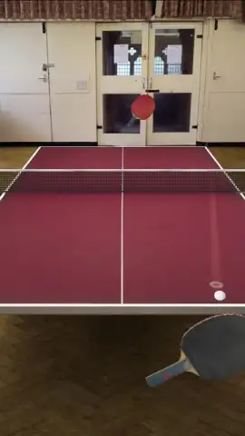 Table Tennis Touch скриншот 5