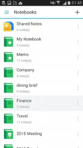 DS note скриншот 1