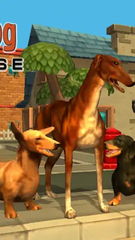 Doggy Dog Universe скриншот 3