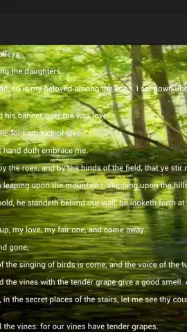 Holy Bible King James Version скриншот 1
