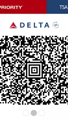 Fly Delta скриншот 2