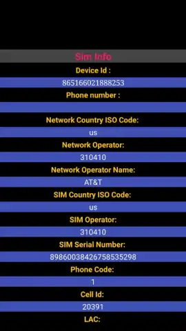 Sim Info скриншот 1
