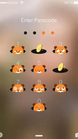 PIP Lock Screen скриншот 2