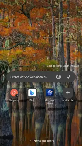 Microsoft Edge Dev скриншот 1