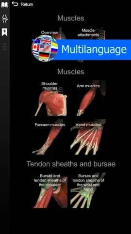 3D Anatomy Learning скриншот 1