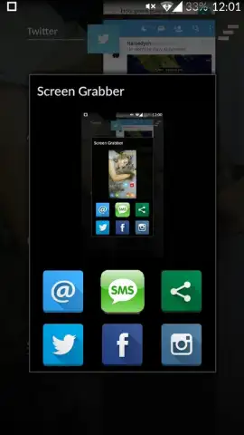 Screen Grabber скриншот 1