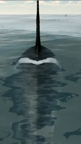 Orca Simulator скриншот 5